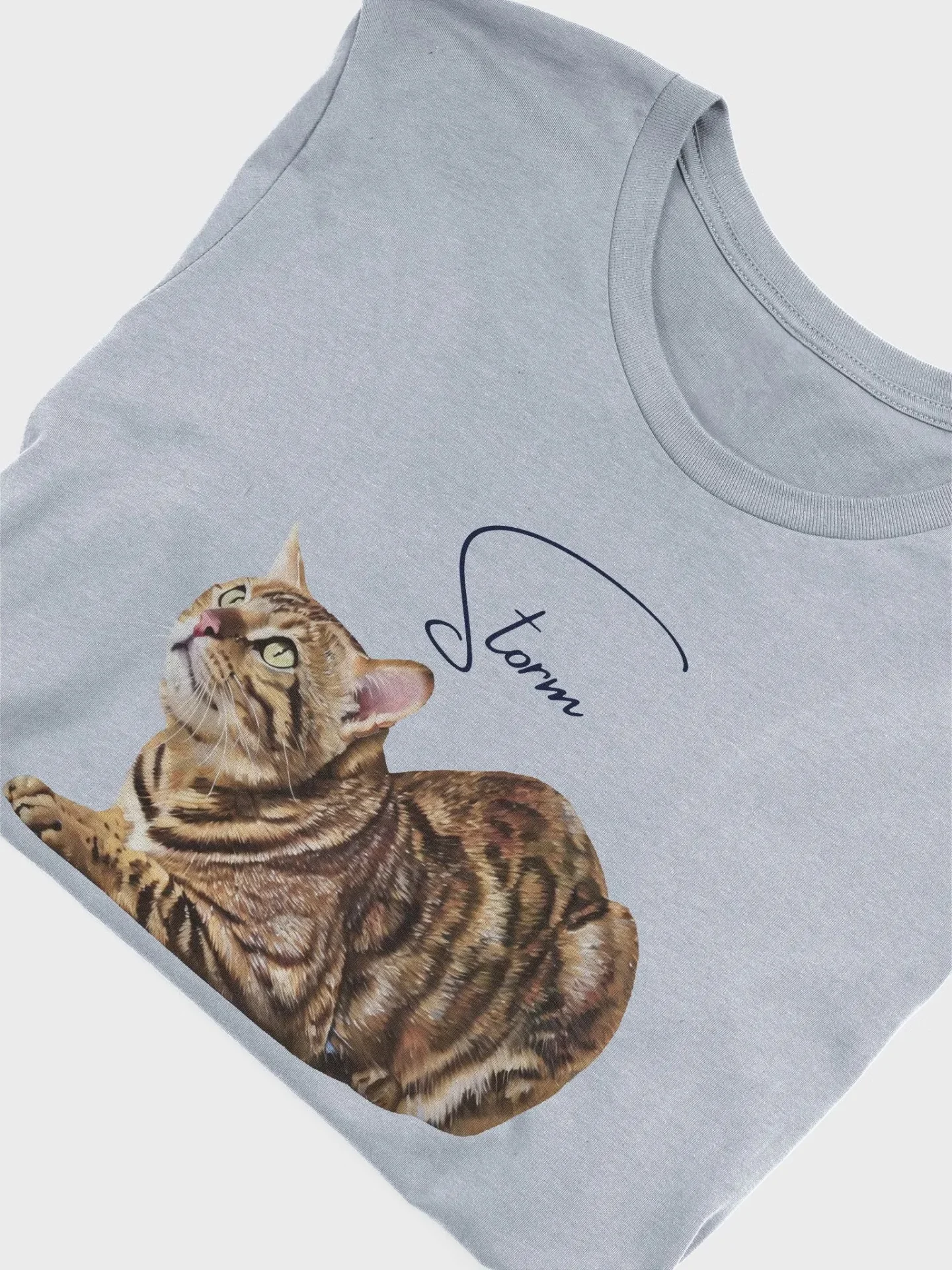 Custom Oil Painting Style Pet Portrait T-Shirt product image (16)