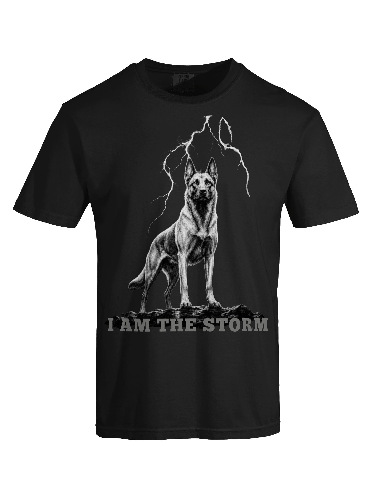 I AM THE STORM product image (13)