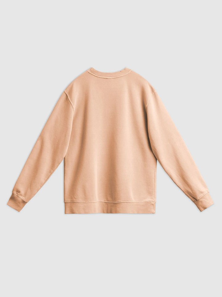 DIVINE SWEATSHIRTS product image (2)
