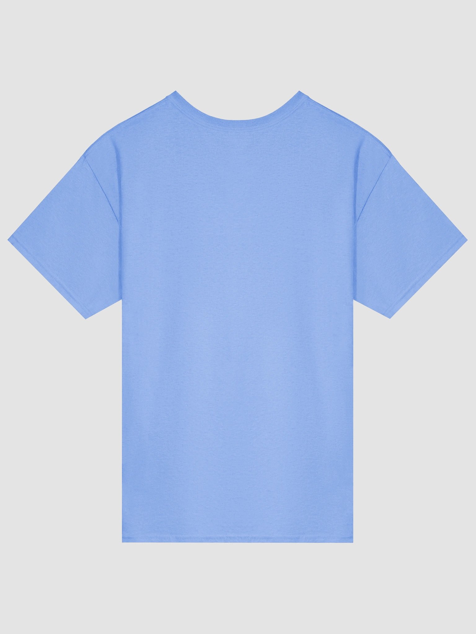 no gods no kings diy product image (2)