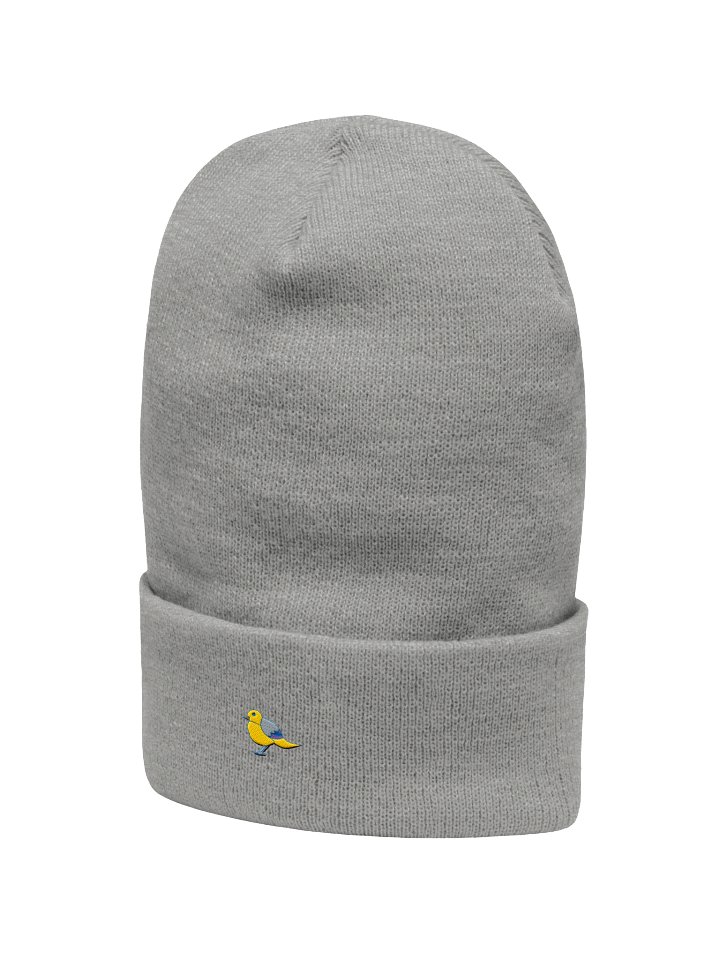 Whimsical Bird Cartoon Beanie product image (20)