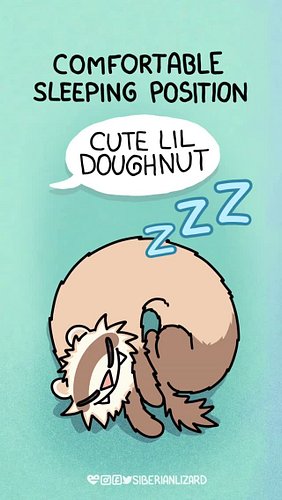 One moment they look like a cute lil bagel, the next they look like they were run over by a cement mixer... 😭🫠
Use the sound ...