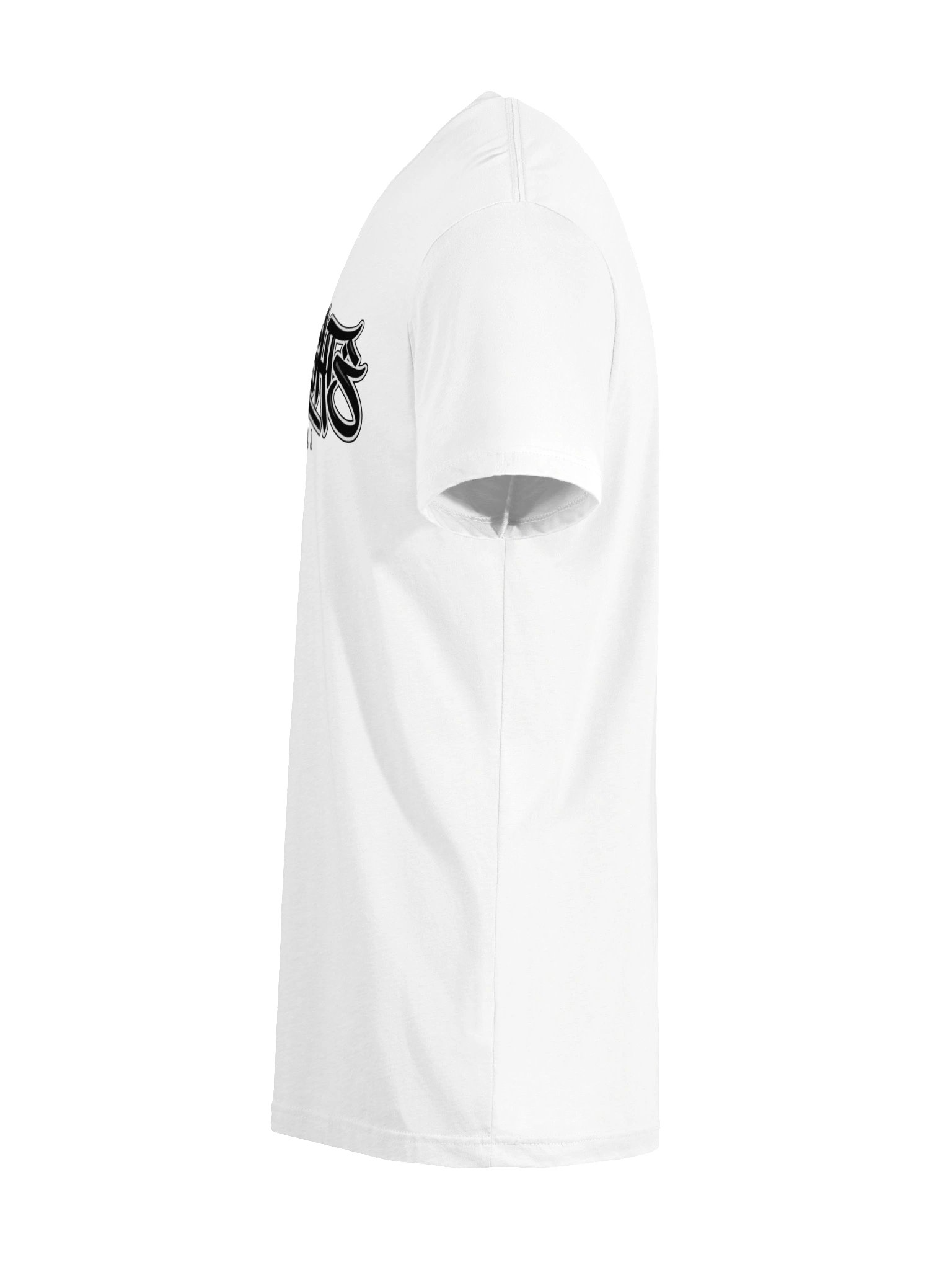 Rawheights Graf 2 Tee Mens product image (9)
