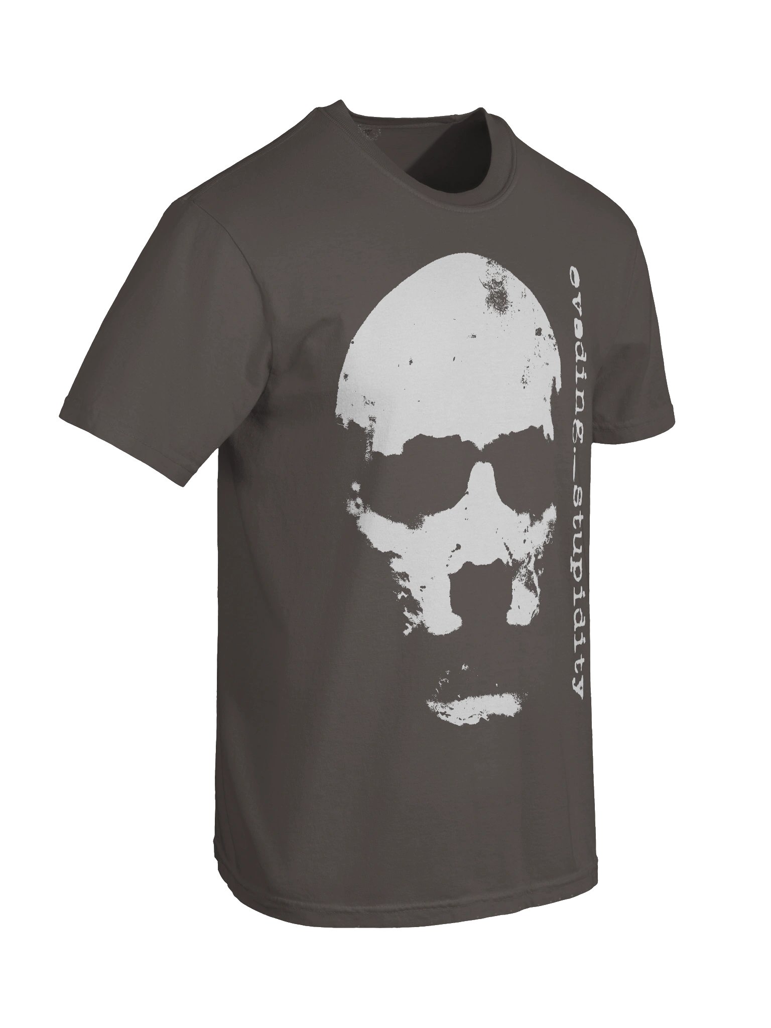 "Evading Stupidity" 2 // Heavyweight Vintage Tee product image (10)