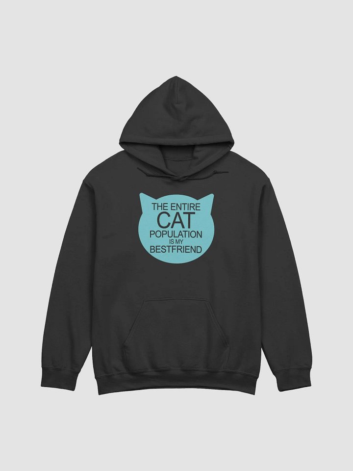 Cat population friend - hoodie product image (7)