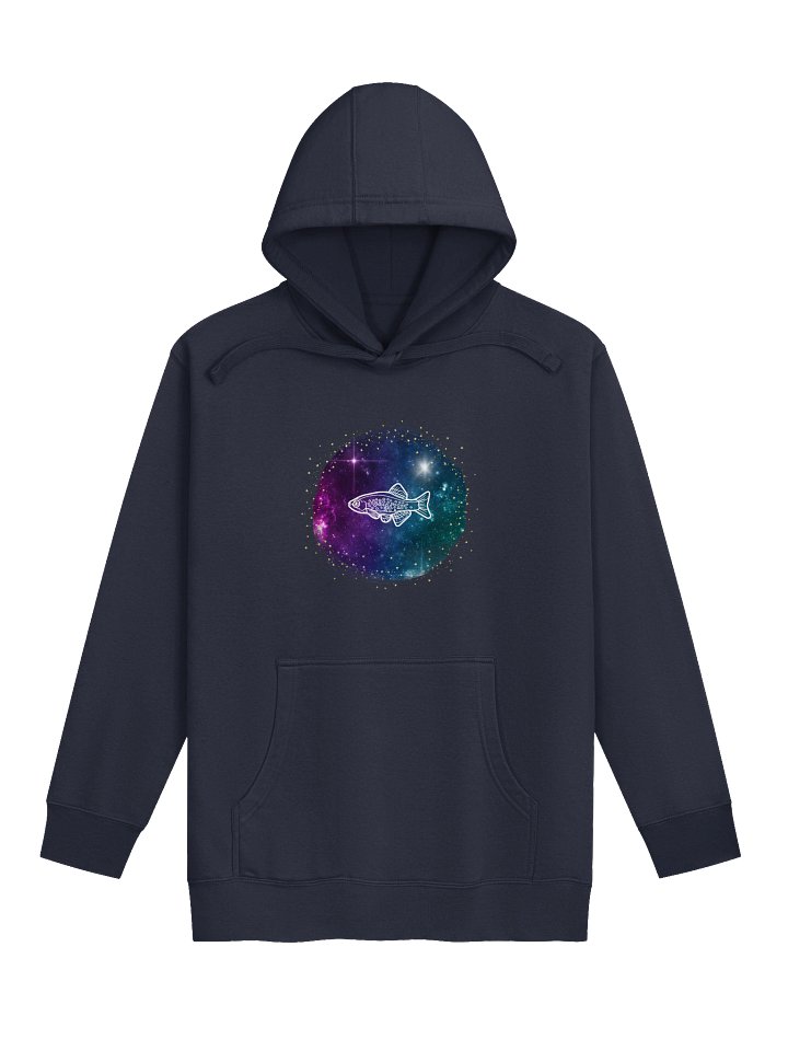 Galaxy Rasbora Hoodie product image (1)