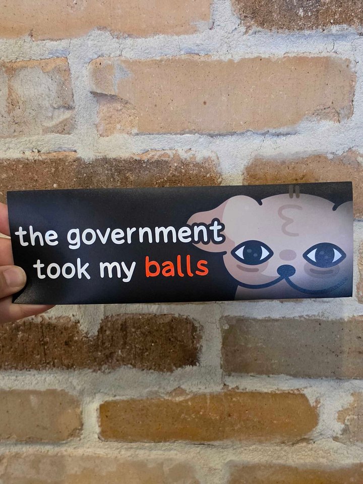 Government Bumper Magnet product image (2)