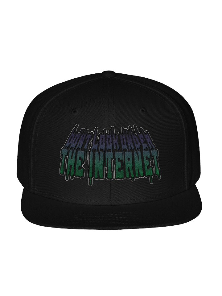 DLUTI Snapback product image (1)