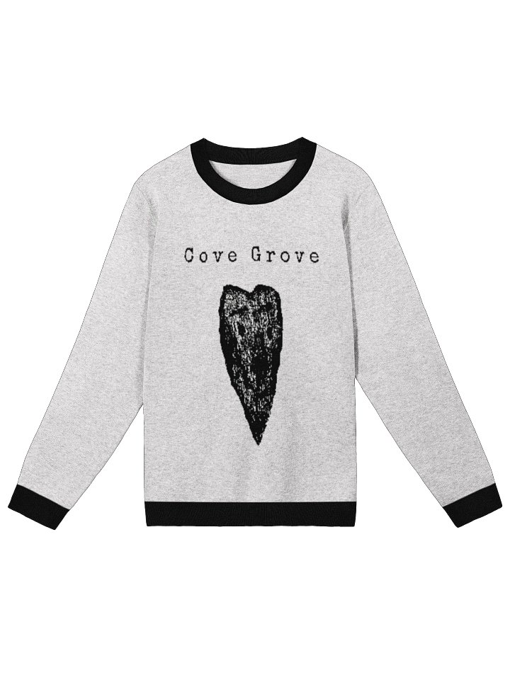 Embroidered knit sweater (white) product image (4)