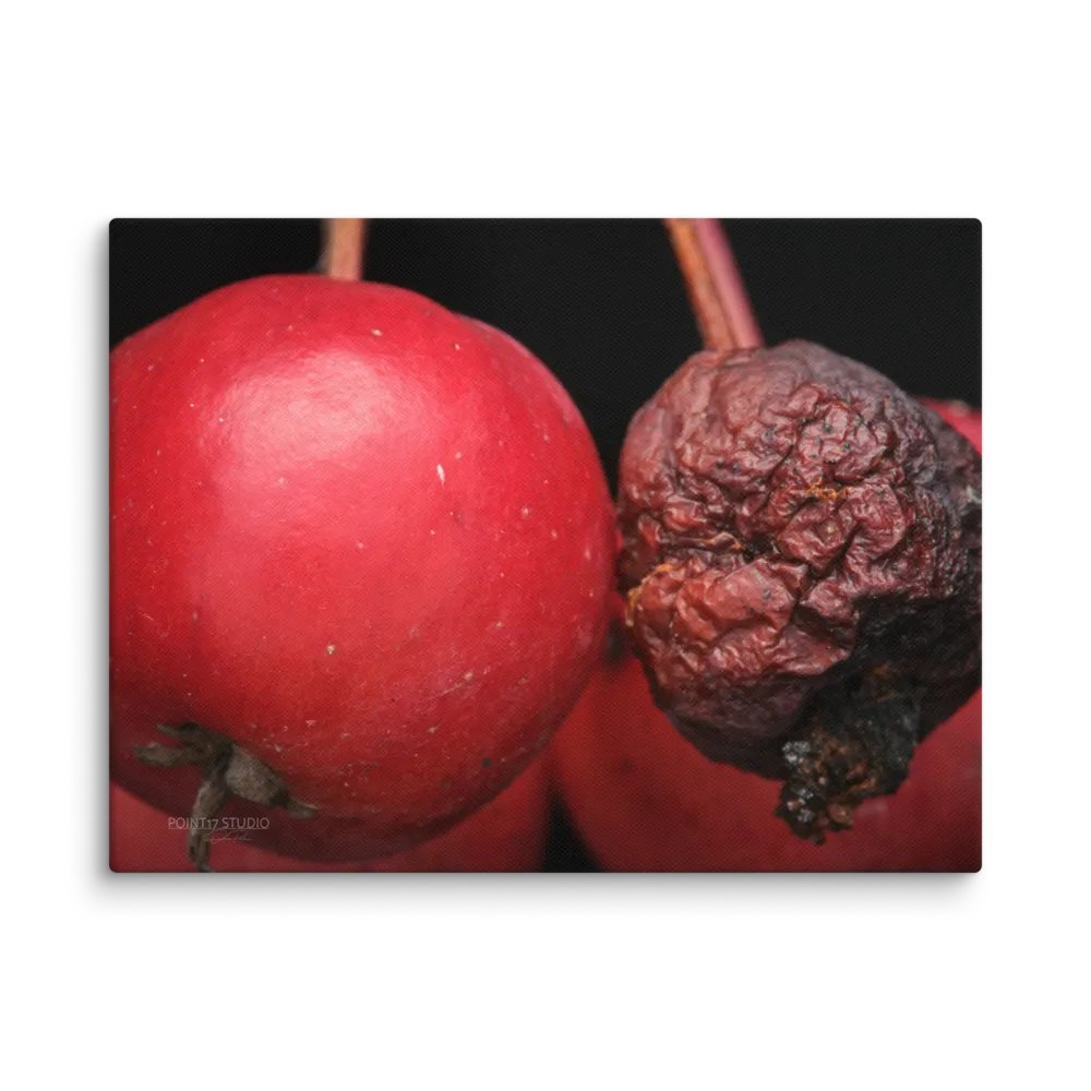 Yin And Yang Crabapples - Print On Canvas product image (1)