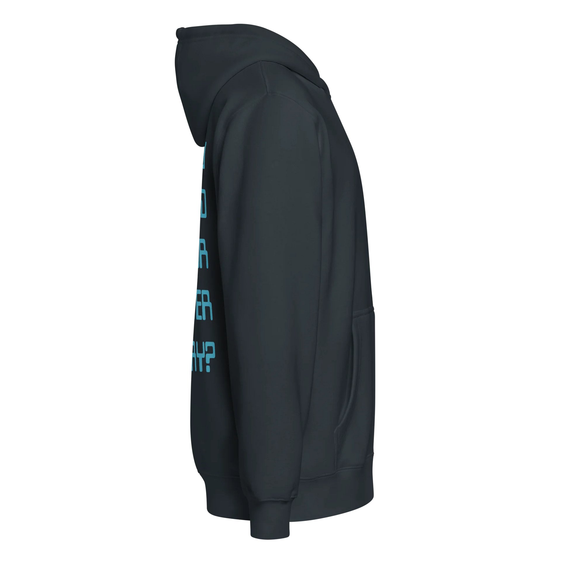 Have you hugged your pc zip hoodie product image (29)