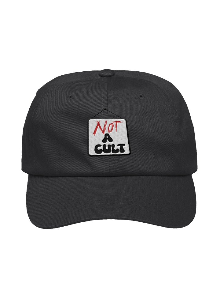 Not A Cult Hat - Light Version product image (1)