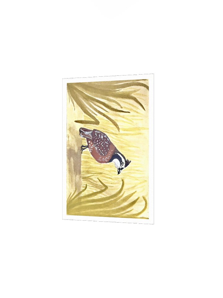 #10 Bob White among the grass - The Wildwood Wash product image (12)
