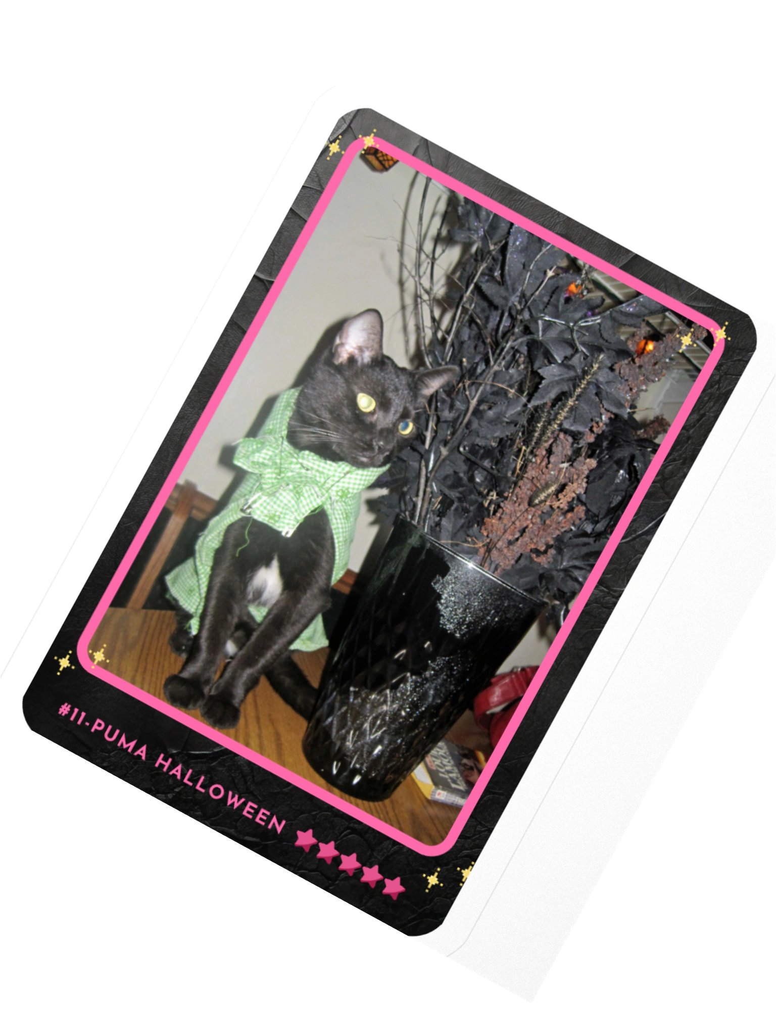 Channel Card 11 - Puma Halloween product image (2)