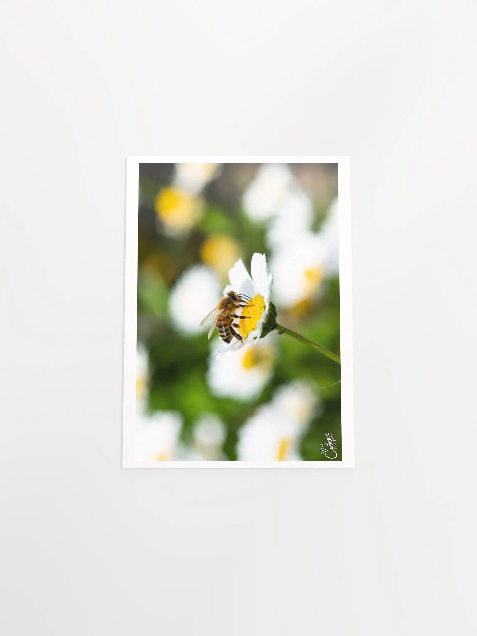 Hello Bees! - Print product image (4)