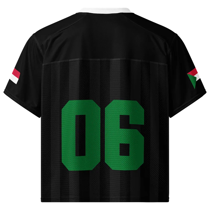 Sudan Boxy Sports Tee product image (2)