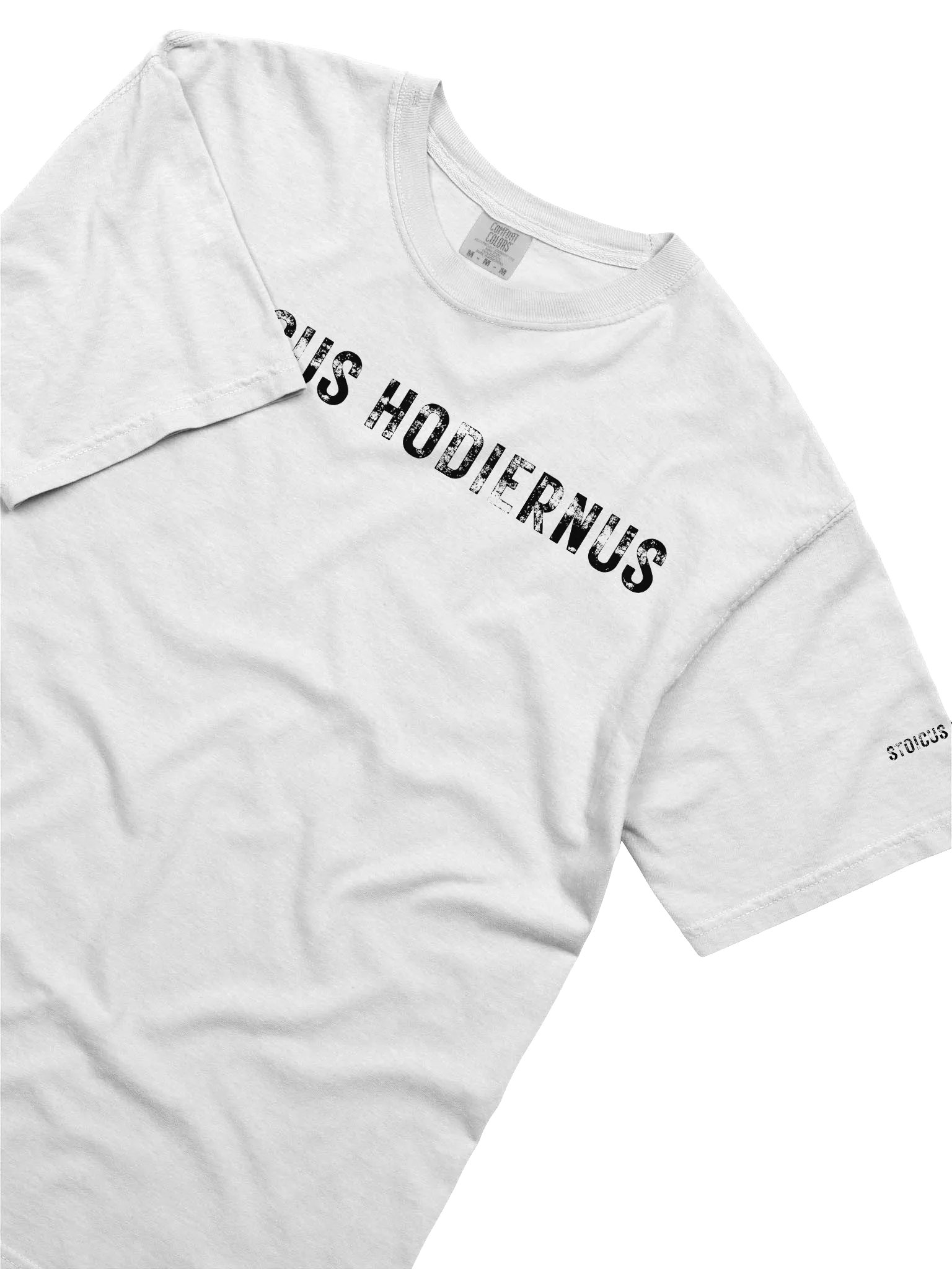 Modern Stoic Tee — “Fata Viam Invenient” Edition product image (3)