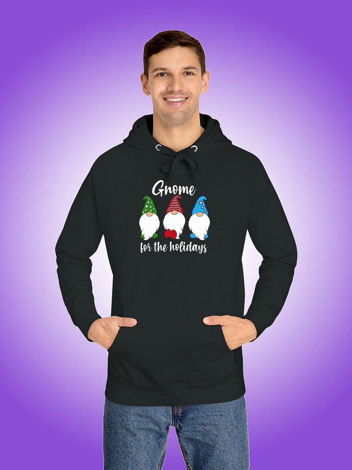 Gnome For The Holidays product image (1)