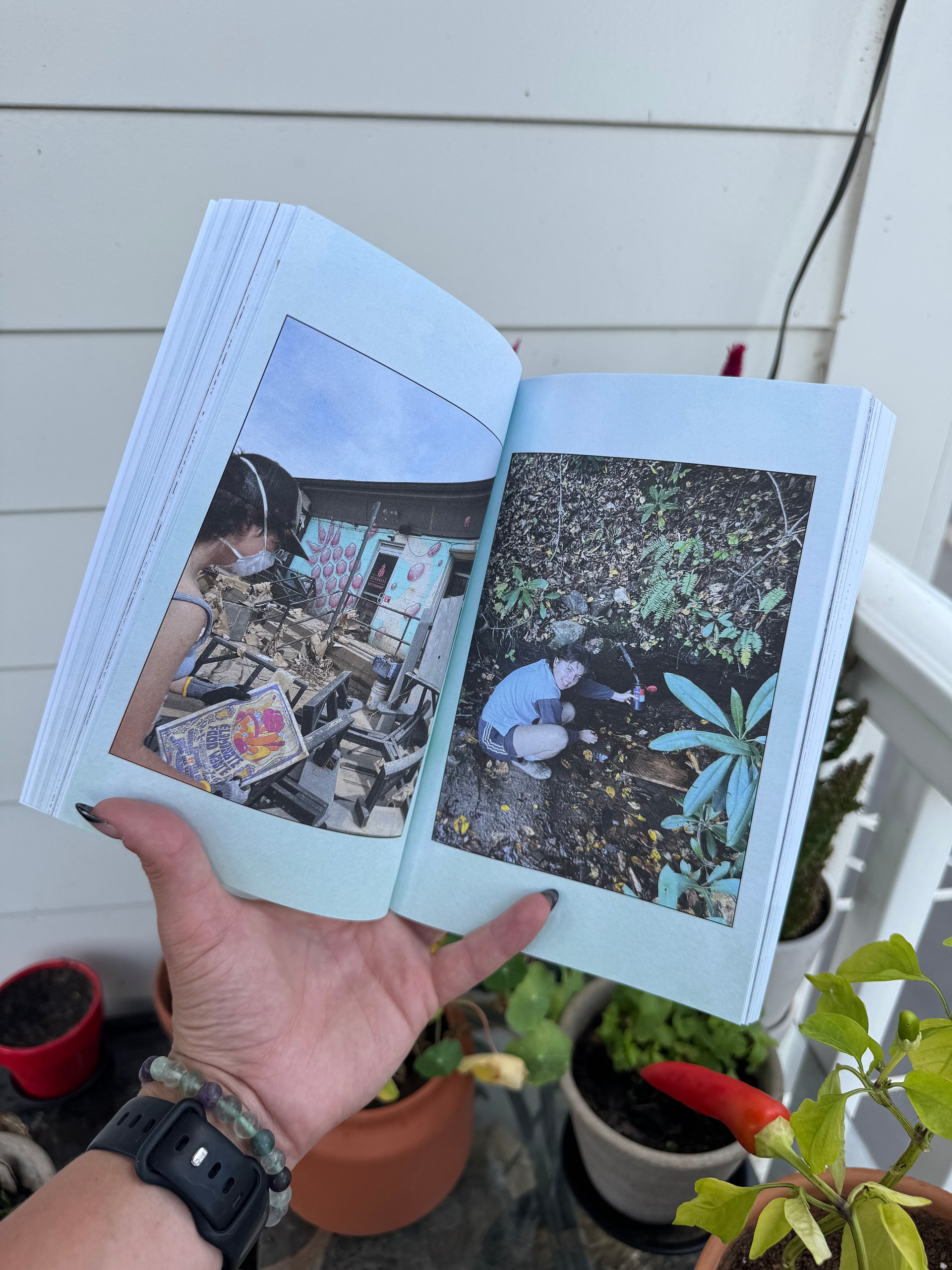 From the Holler to the Sea Anthology product image (3)
