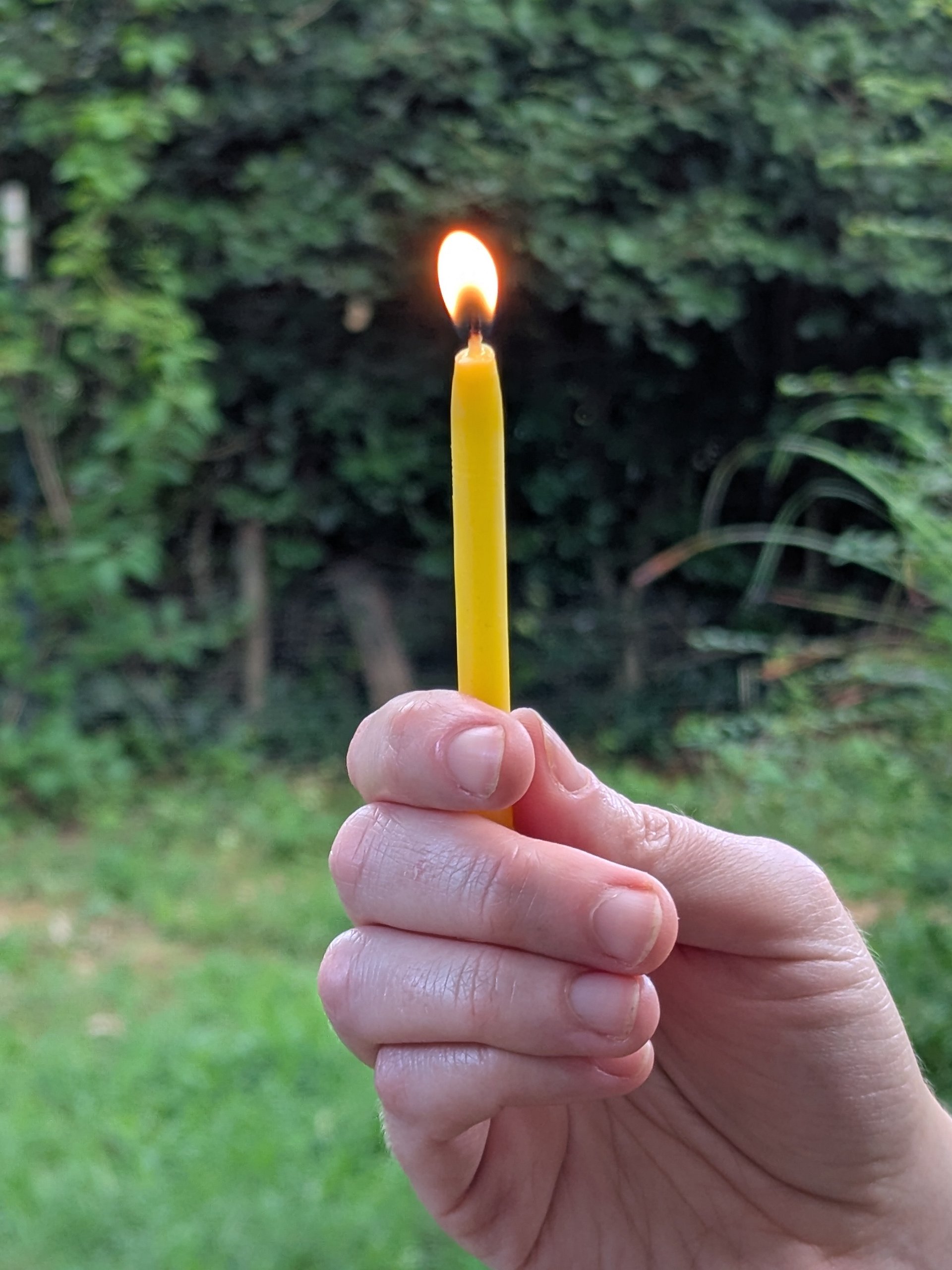 All-Natural Beeswax Birthday Candles product image (1)