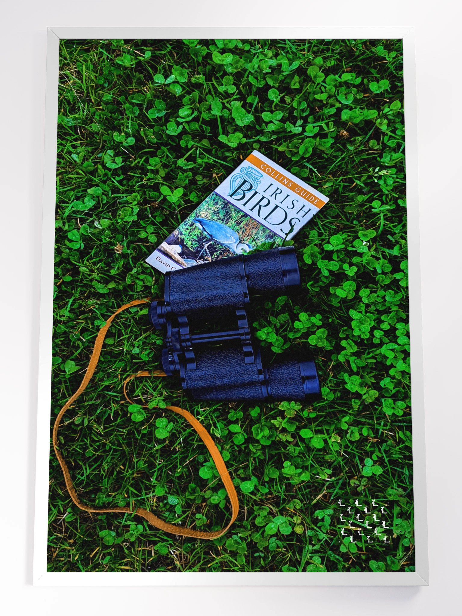 Birdwatching at Blackrock - Framed Print product image (1)
