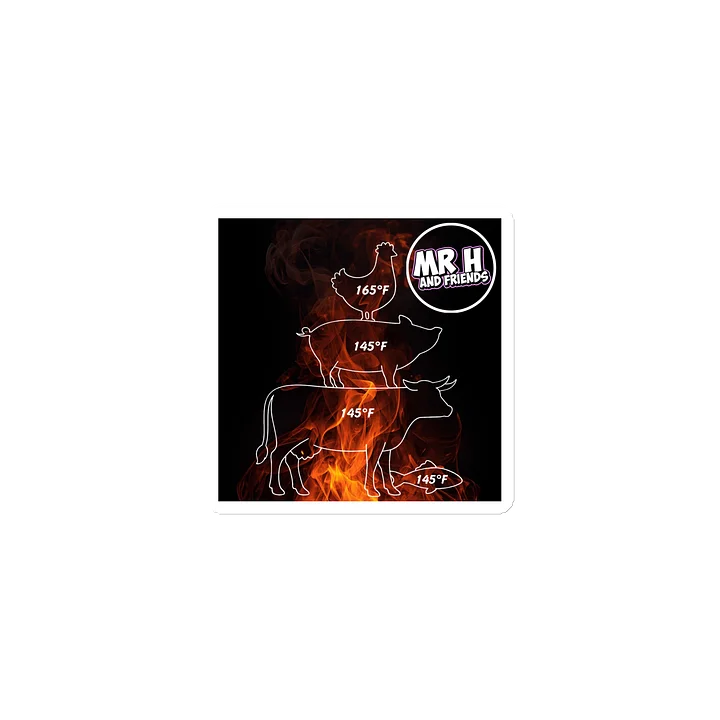 Flames Magnet - USDA Safe Internal Temps product image (1)