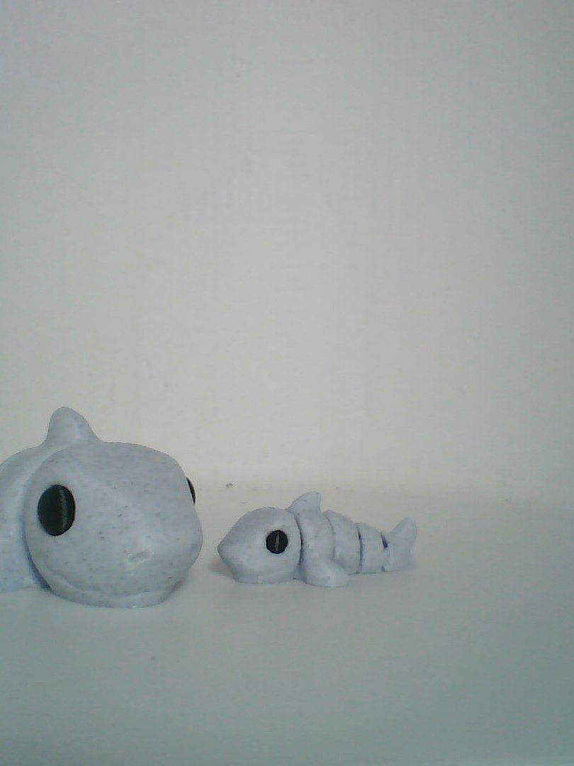 Shark product image (1)