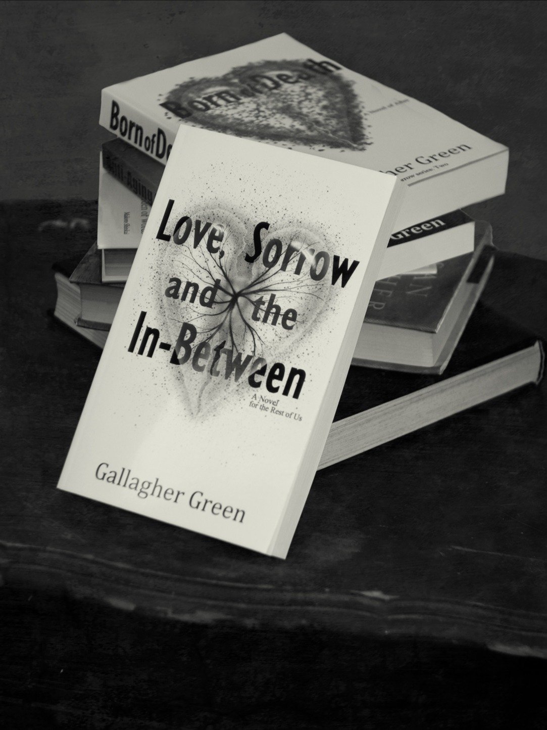 Love, Sorrow, and the In-Between: A Novel for the Rest of US product image (3)