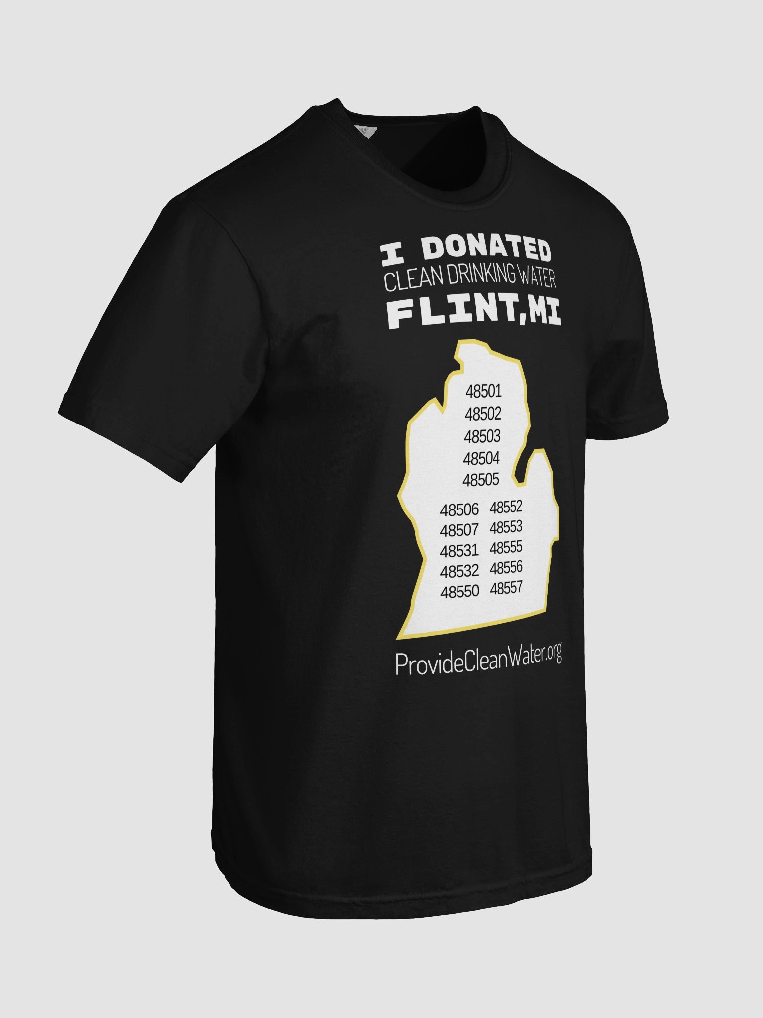 I Donated Flint, MI Color T-Shirt product image (8)
