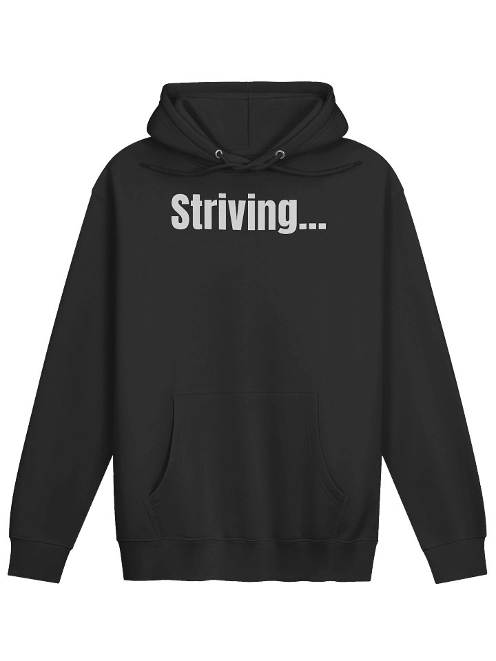 Striving... Pullover Hoodie product image (1)