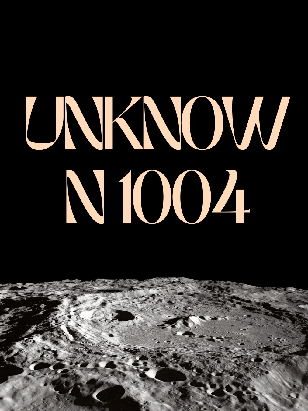 -UNKNOWN 1004- product image (1)