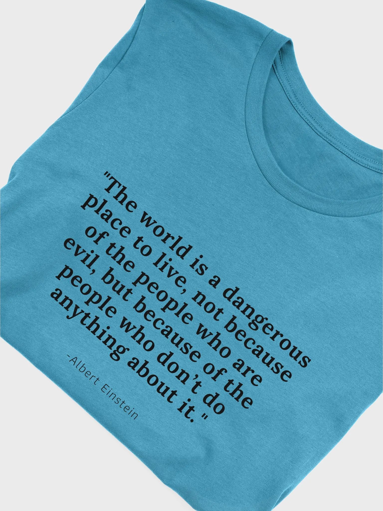 Albert Einstein quote product image (34)