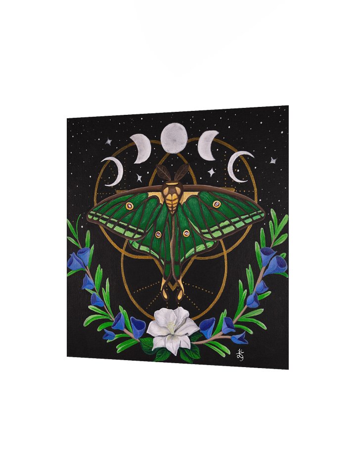 Spanish Moon Moth Original Art Print product image (2)
