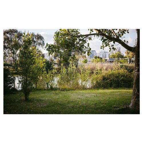 After my Ricoh GR IV memory card fell under the deck and it took me an hour to get it back… these photos feel even more speci...