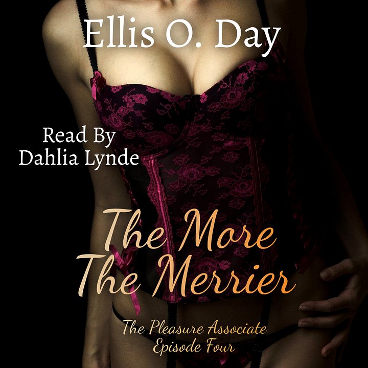 The More the Merrier Audiobook product image (1)