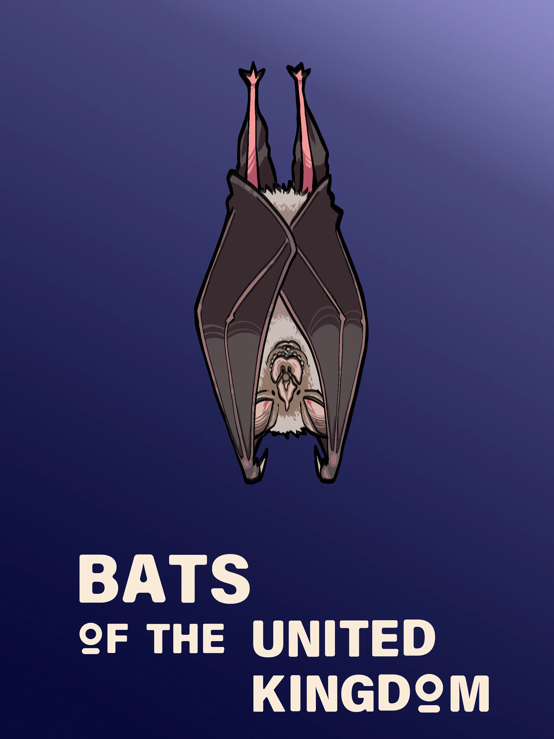 Bats of the United Kingdom - Icon Pack product image (3)
