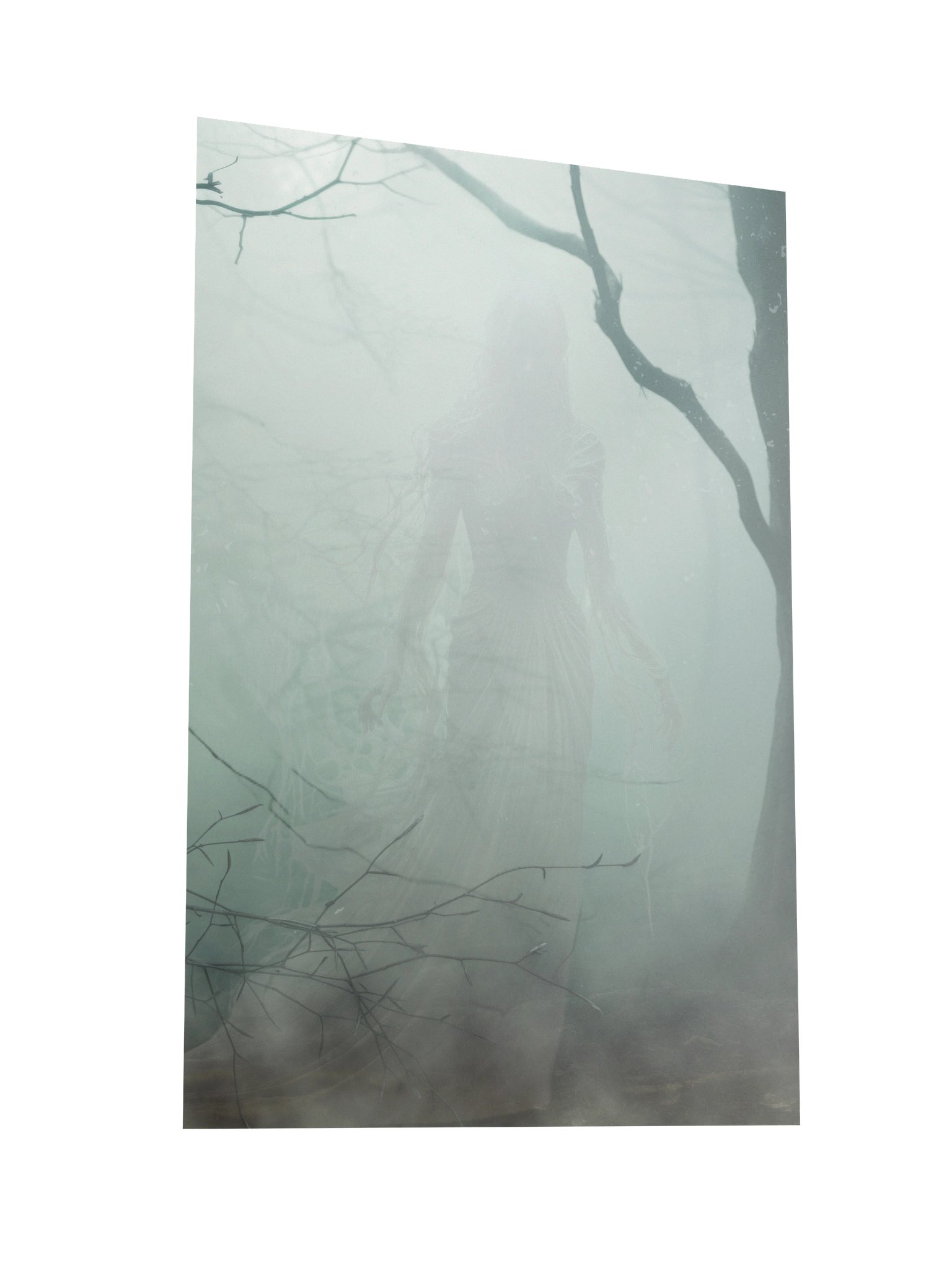 Banshee – The Veiled Mourner Poster product image (2)
