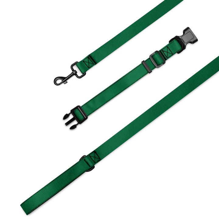 Lucky Dog Green Pet Collar & Leash Set 02 product image (1)
