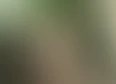 Camera Roll Club's tag thumbnail