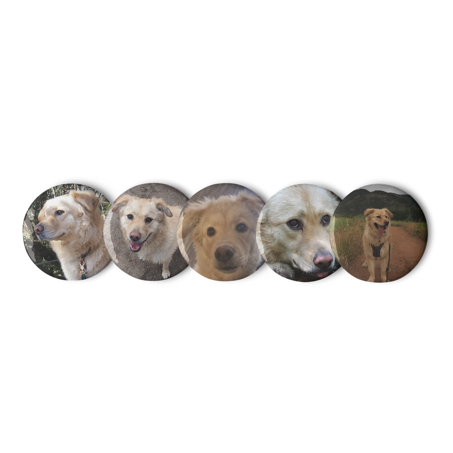 Milo's Life Button Collection (February 2026) product image (1)