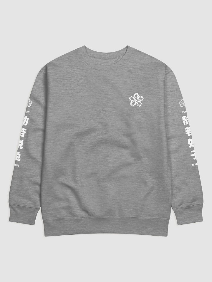 Ninja Cat Mystic Glyphs Premium Sweatshirt product image (1)