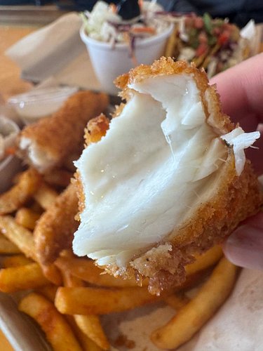 Fresh Alaska halibut in Ketchikan. Caught in these waters, fried the same day. Went with the fish and chips and zero regrets....