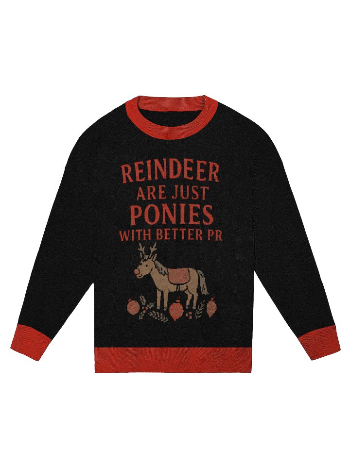 The Reindeer Ponies Sweater (wholesale) product image (1)