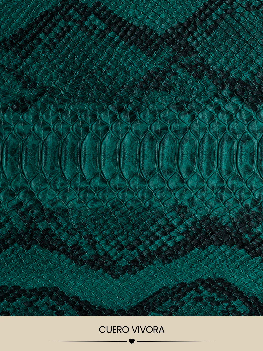 CUERO VÍBORA TURQUESA product image (1)