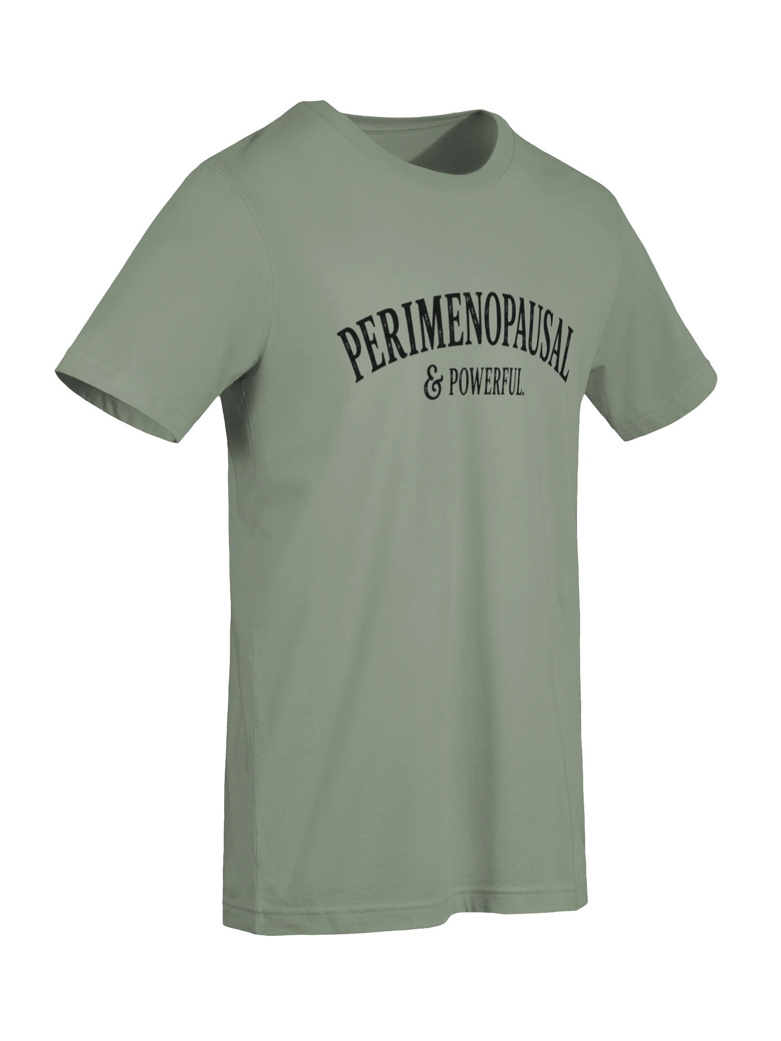 Perimenopausal & Powerful | Vintage Perimenopause Graphic Tee product image (22)
