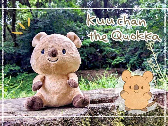 Quokka life