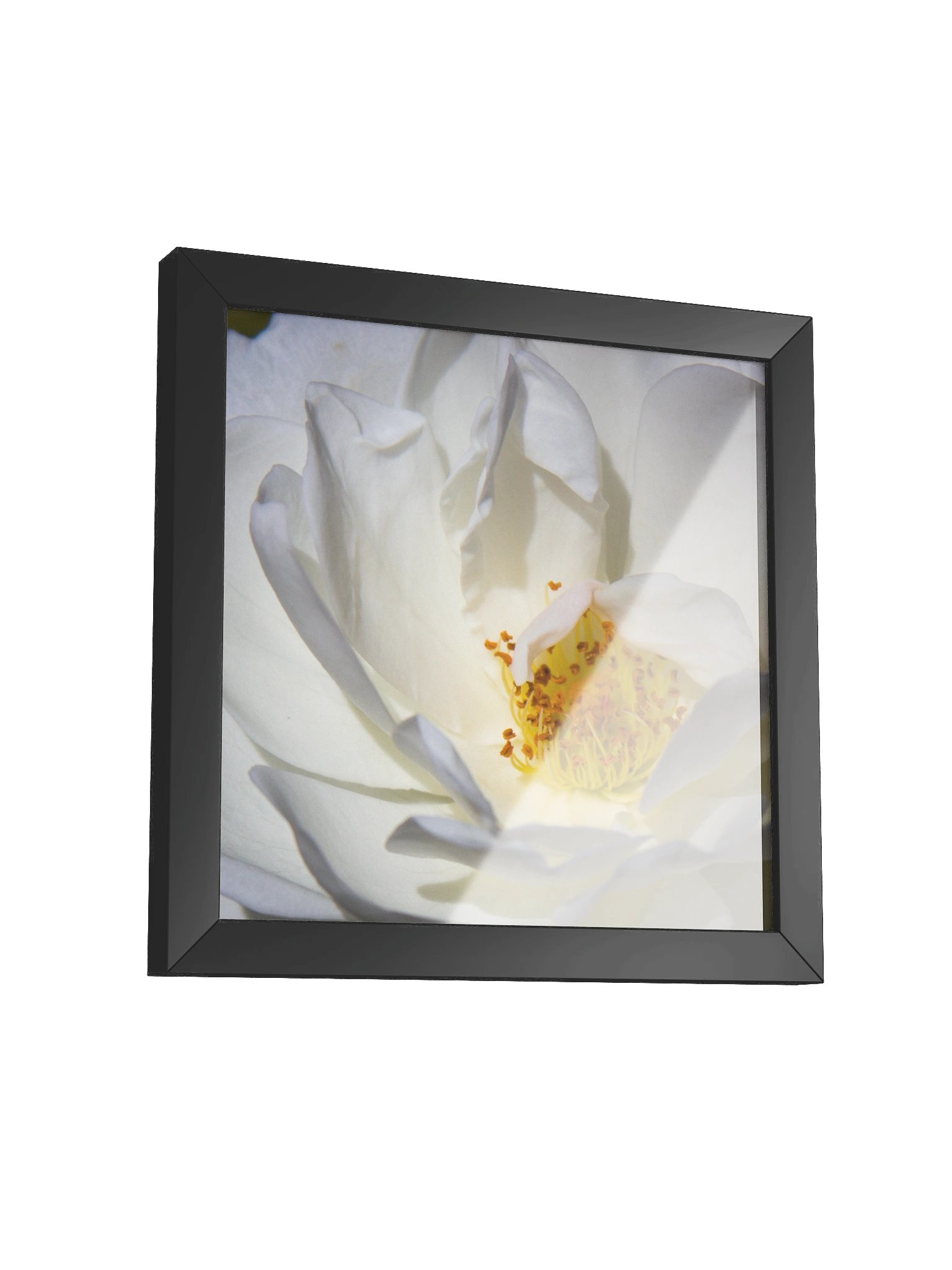 Shelter product image (12)
