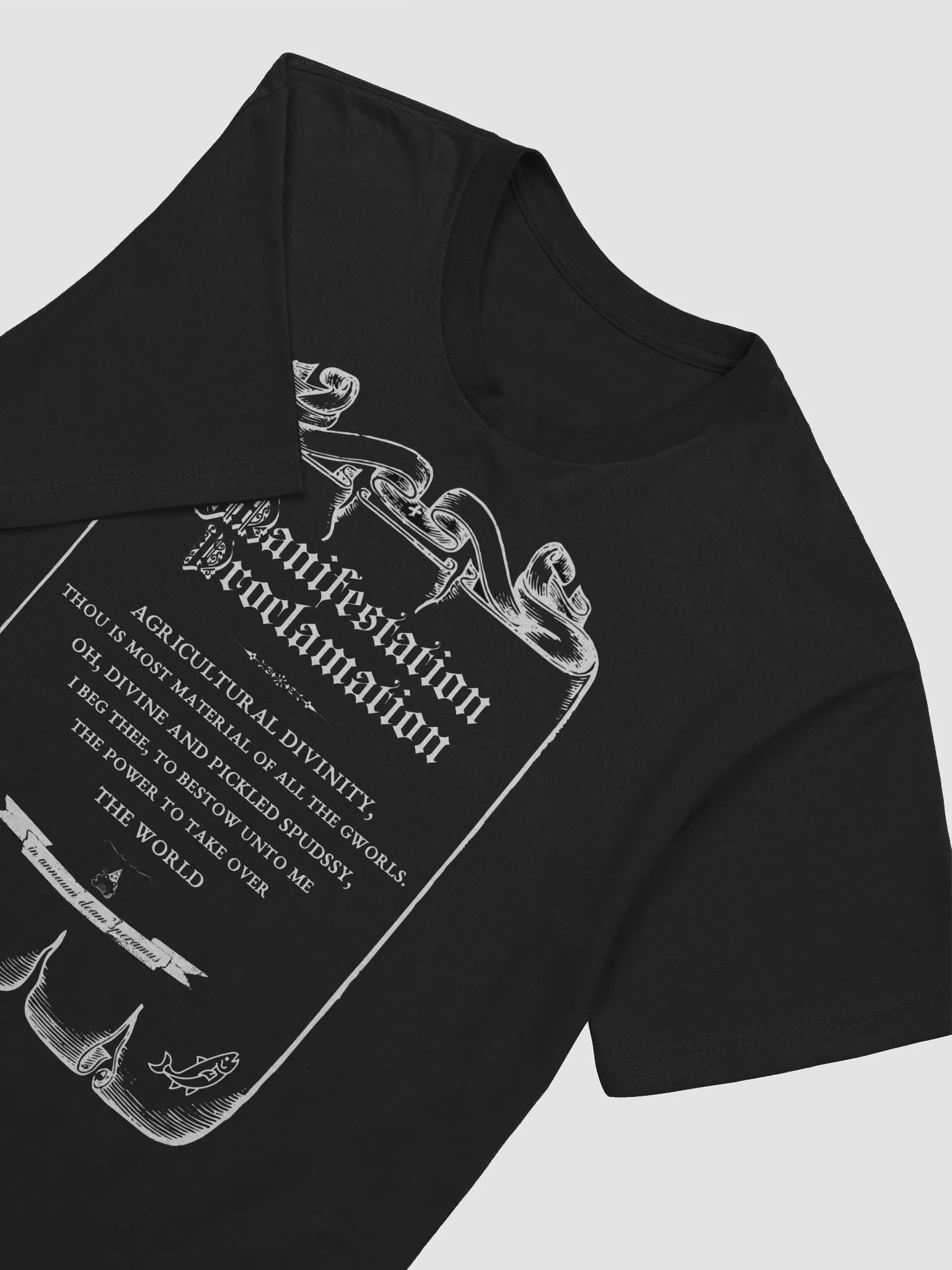 manifestation proclamation tshirt product image (4)