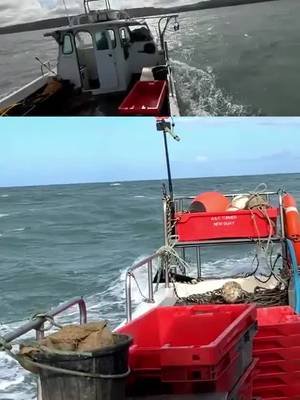 Fish Theft!!