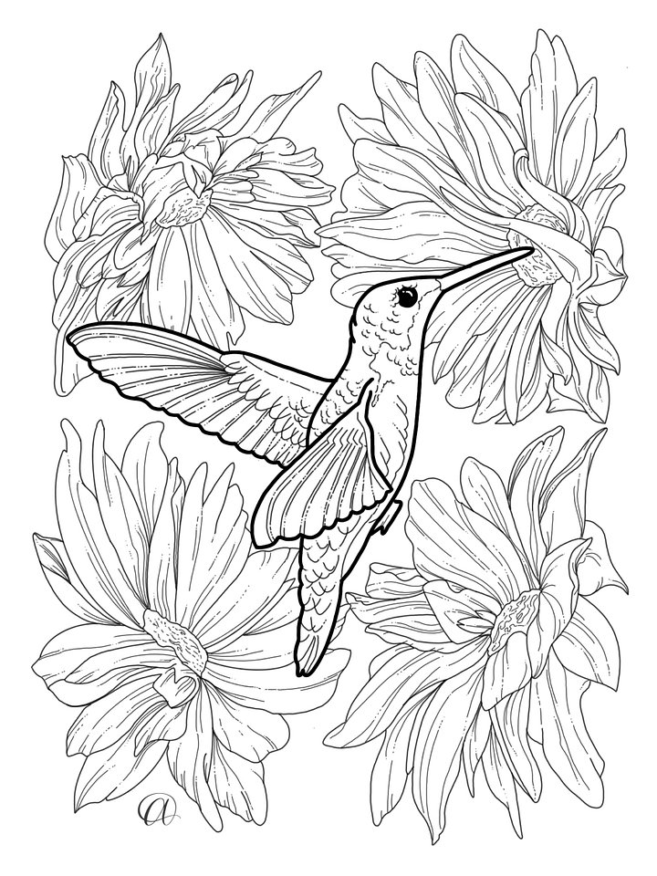 Early Birds Coloring Pages product image (1)